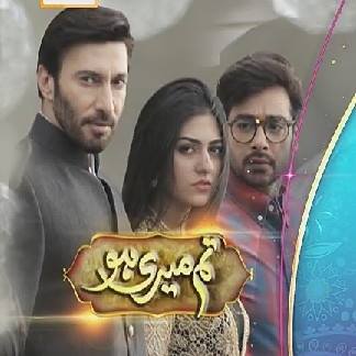 Tum Meri Ho – Exclusive Ary Digital Drama