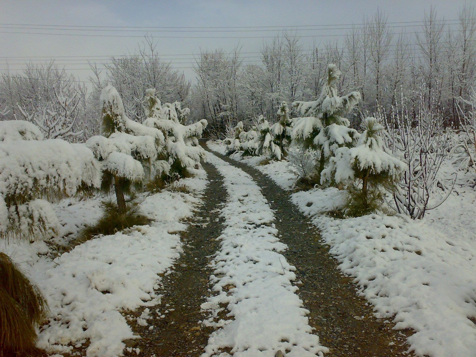 parachinar