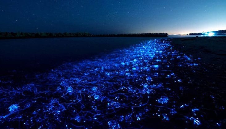 Glowing Beach