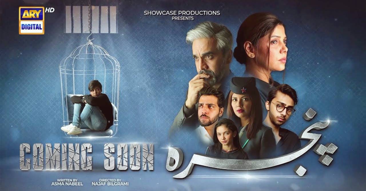 Why is ARY Digital's upcoming drama Pinjra so special?